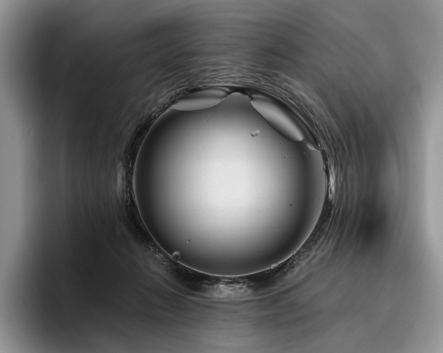 X0000096190270200801181327