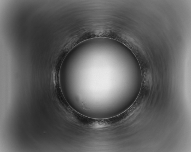 X0000096190272200801181327