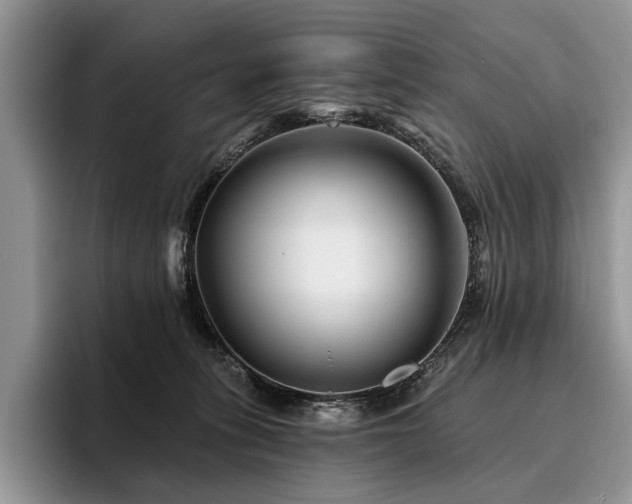 X0000096190275200801181327
