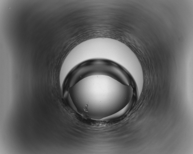X0000096190276200801181327