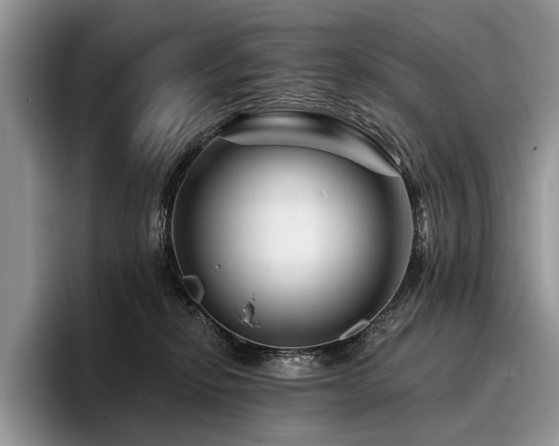 X0000096190278200801181327