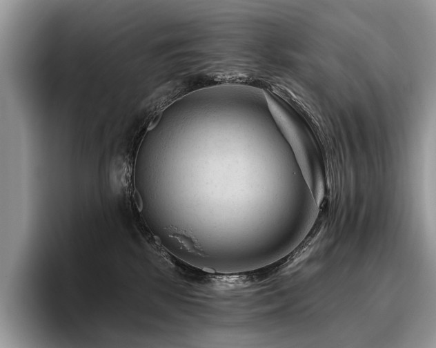 X0000096190281200801181327