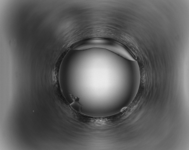 X0000096190282200801181327
