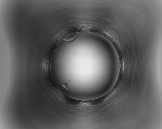 X0000096190283200801181327