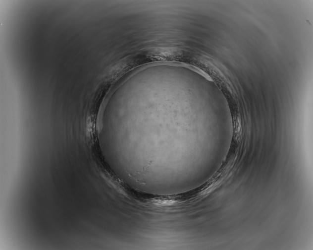 X0000096190284200801181327