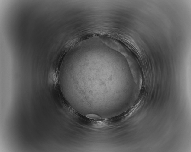 X0000096190285200801181327