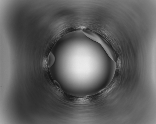 X0000096190286200801181327