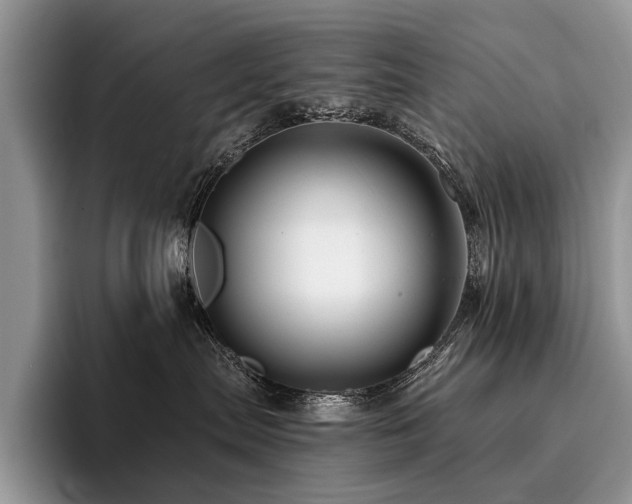 X0000096190287200801181327