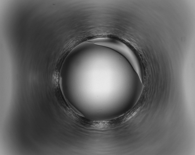 X0000096190288200801181327