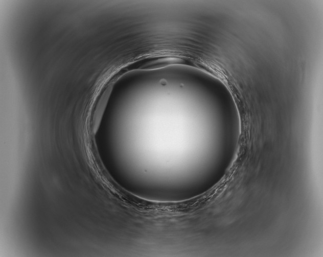 X0000096190289200801181326