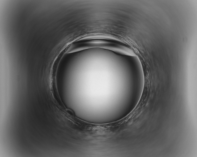 X0000096190290200801181326