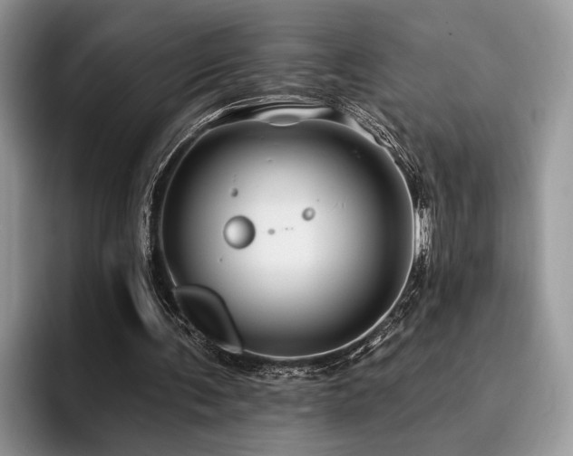 X0000096190291200801181326