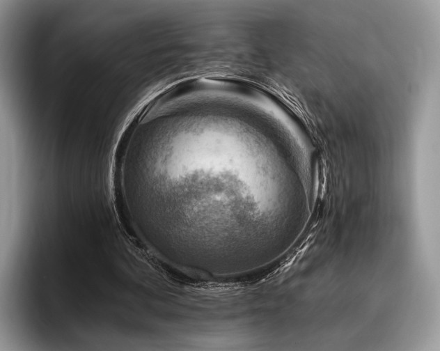 X0000096190292200801181326