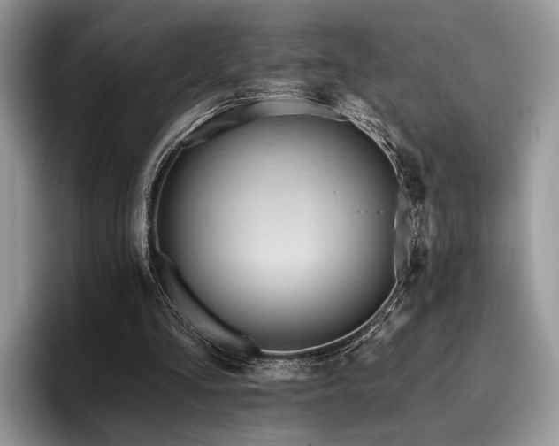 X0000096190293200801181326
