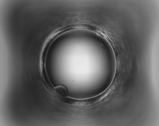 X0000096190294200801181326