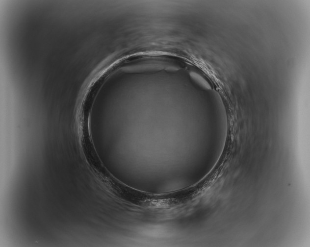 X0000096190295200801181326