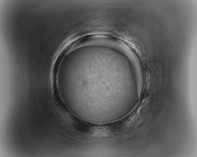 X0000096190296200801181326