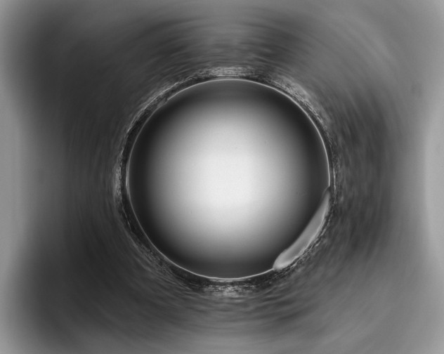 X0000096190297200801181326