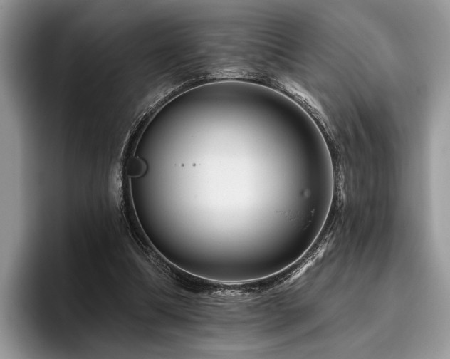 X0000096190298200801181326