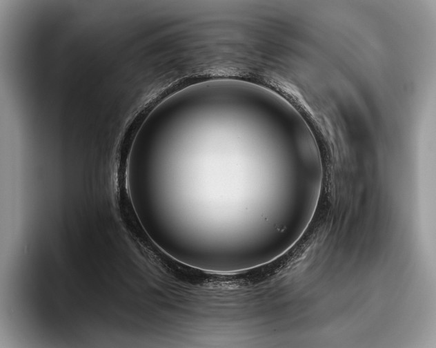 X0000096190299200801181326