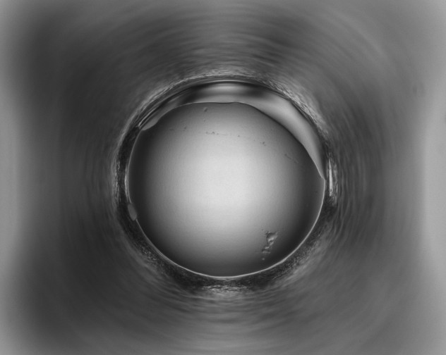 X0000096190300200801181326