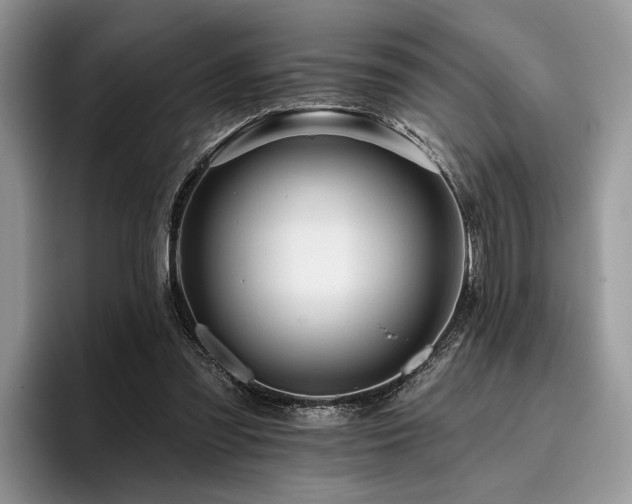 X0000096190301200801181326