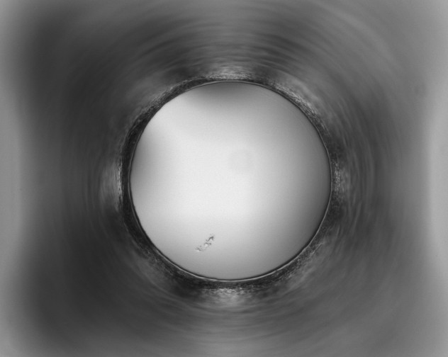 X0000096190302200801181326
