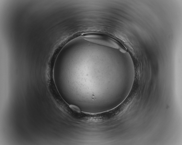 X0000096190303200801181326