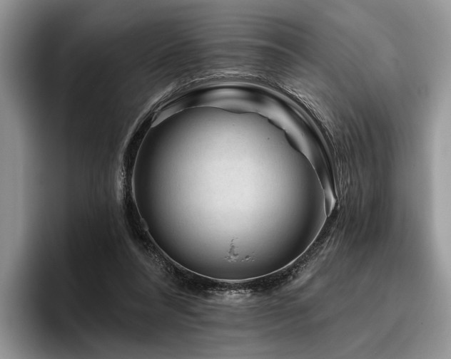 X0000096190304200801181326