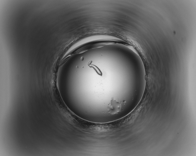 X0000096190305200801181326
