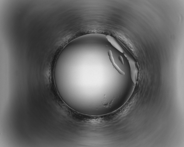 X0000096190306200801181326