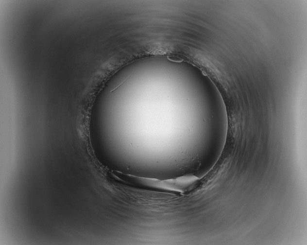 X0000096190307200801181326