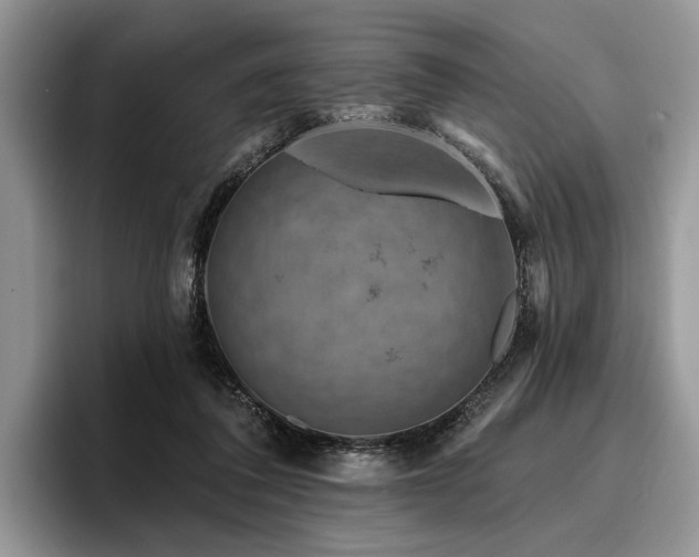 X0000096190308200801181326