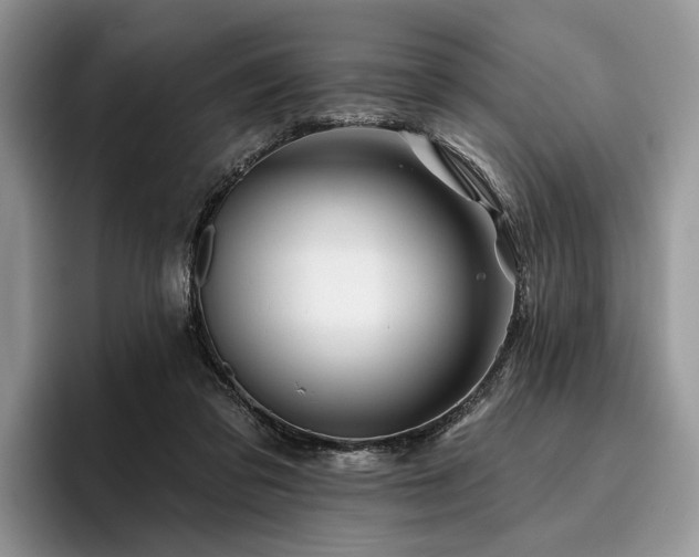 X0000096190309200801181326