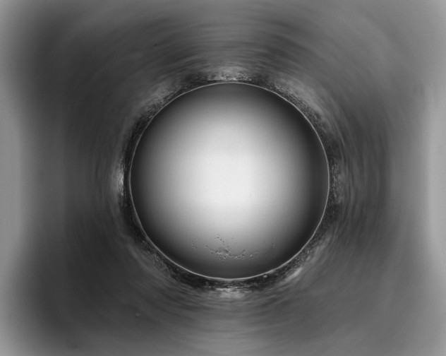 X0000096190310200801181326