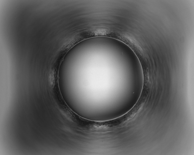 X0000096190311200801181326