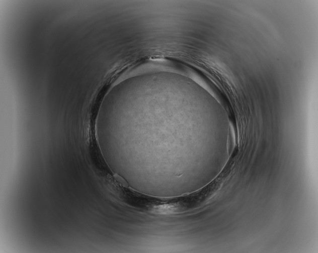 X0000096190312200801181326