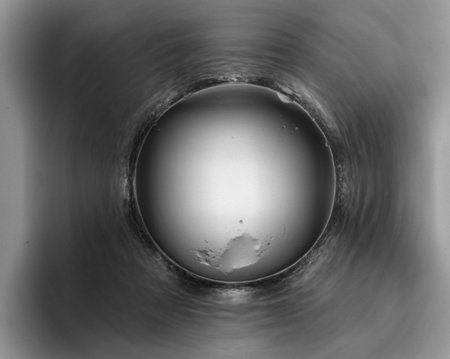 X0000096190313200801181326