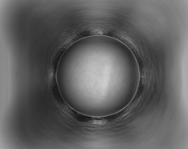 X0000096190314200801181326
