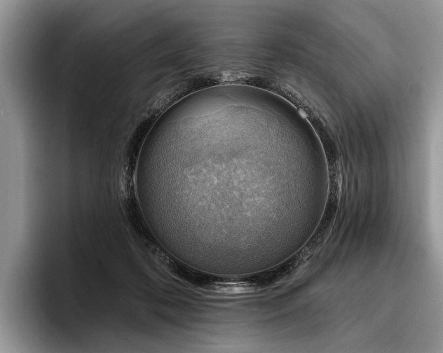 X0000096190316200801181326