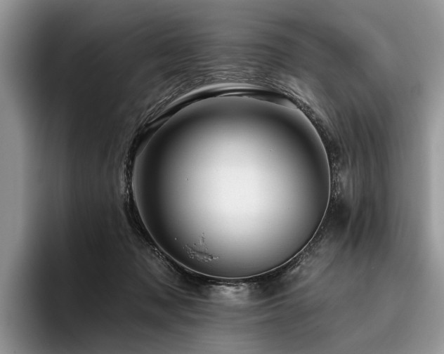 X0000096190317200801181326