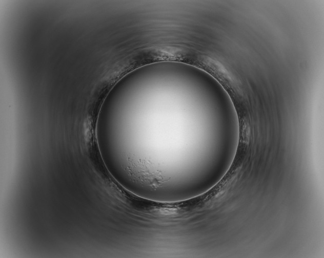X0000096190318200801181326