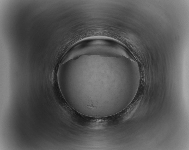 X0000096190319200801181326