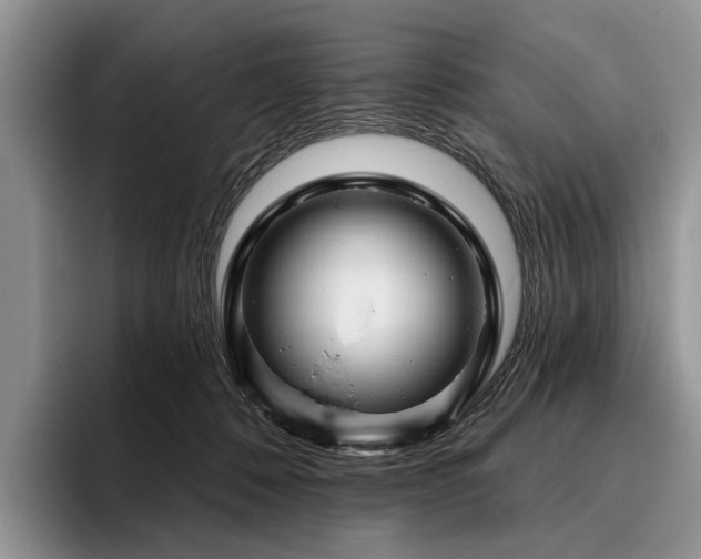 X0000096190320200801181326