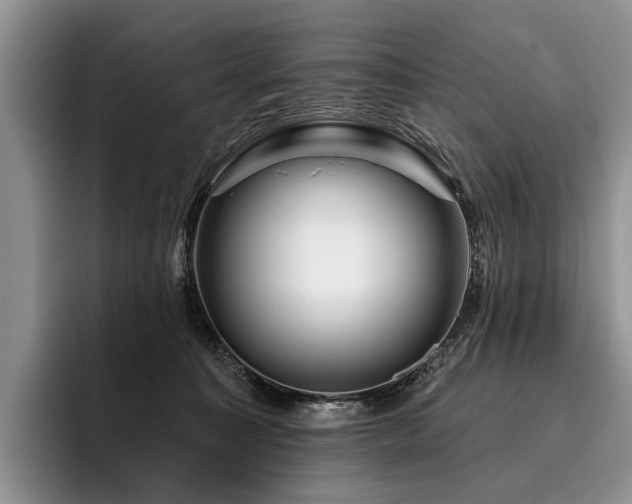 X0000096190323200801181326