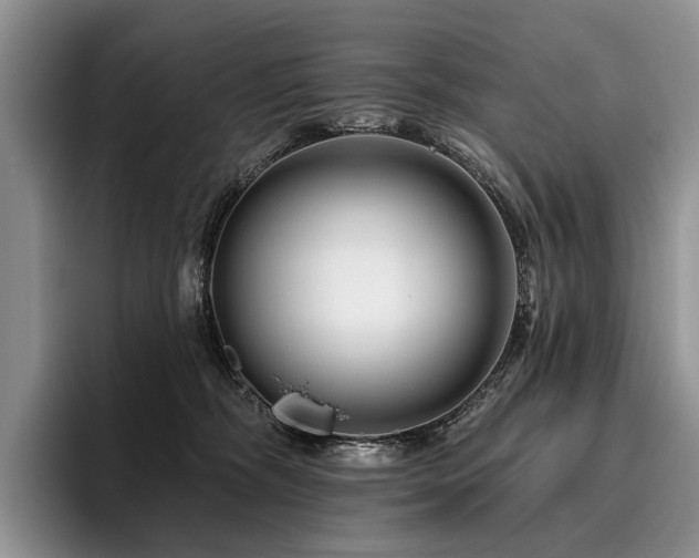 X0000096190326200801181326