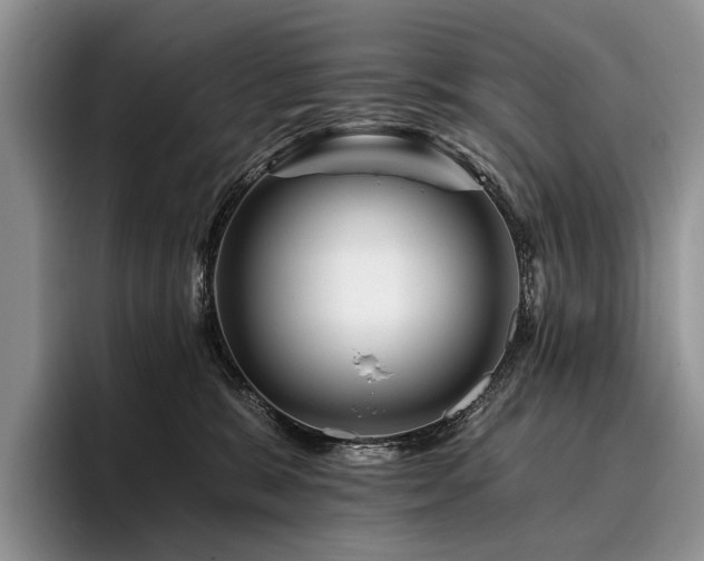 X0000096190327200801181326