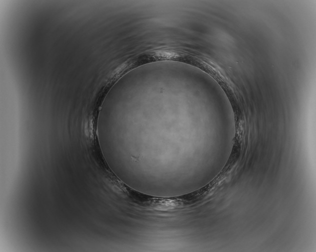 X0000096190330200801181326