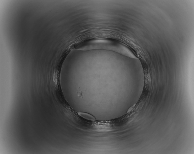 X0000096190331200801181326