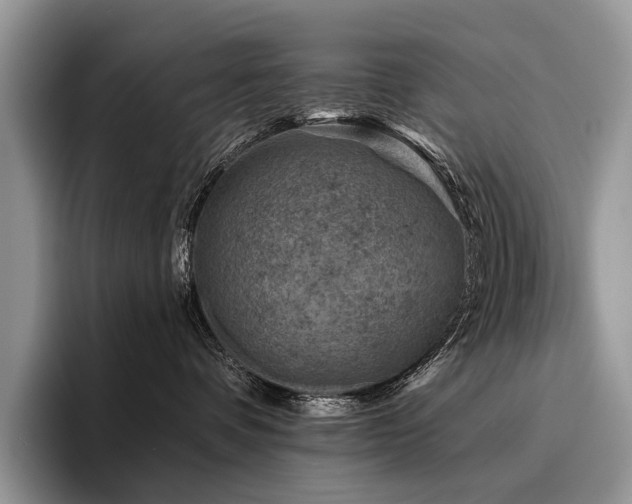 X0000096190336200801181326